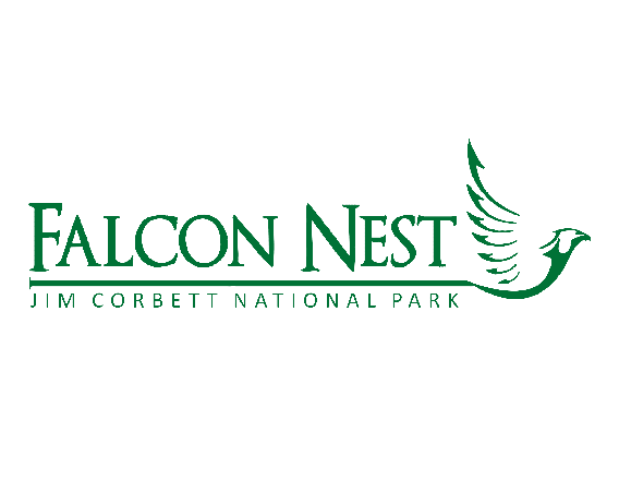 falcon nest logo