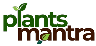plants mantra logo